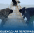 Пешеходная переправа через Волгу в Тутаеве восстановлена - Тутаевский район